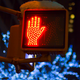 Illustration for article titled Shooting Challenge: Bokeh, Gallery 2